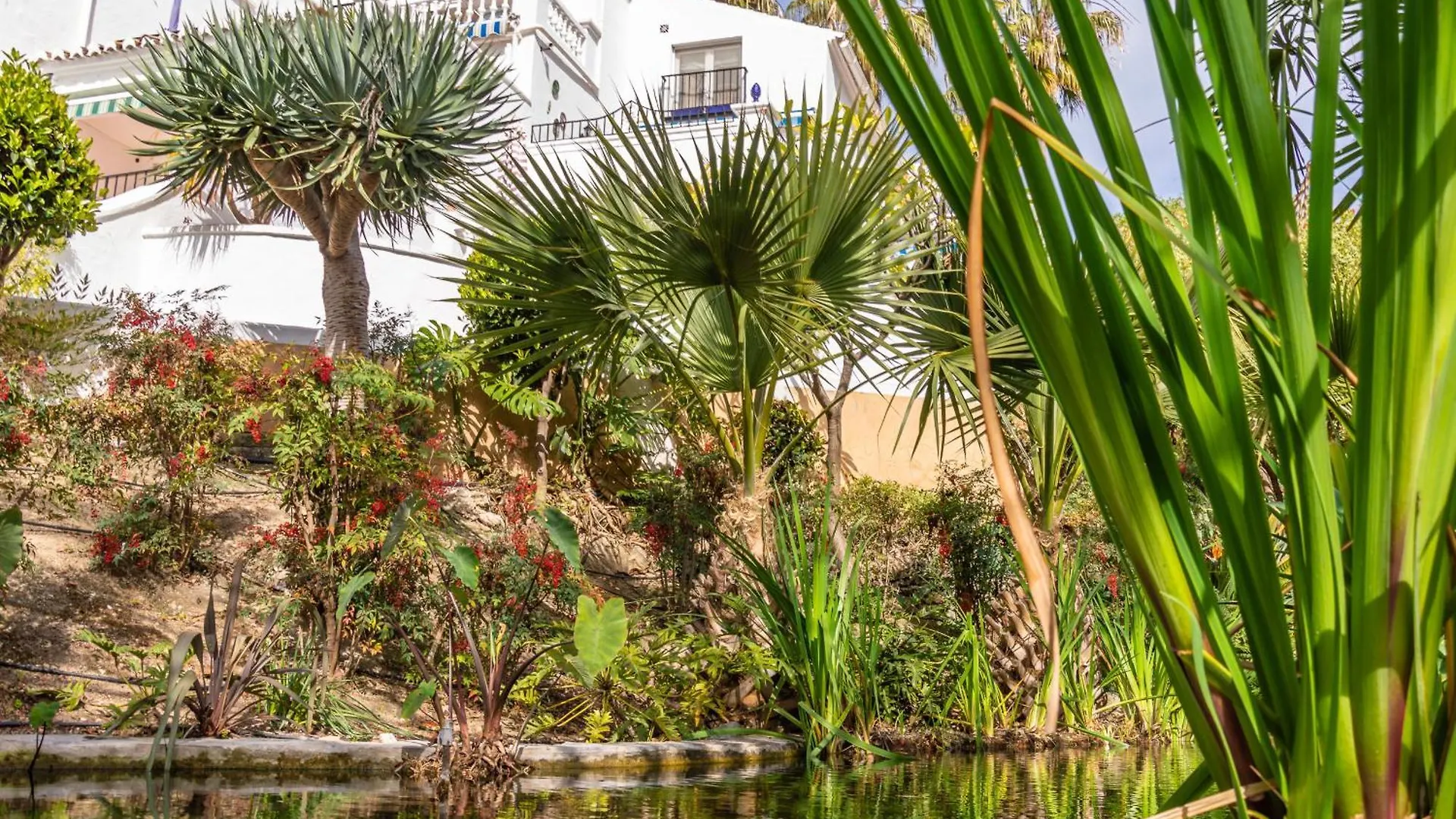 Apartment Rabat 8 Oasis Properties Nerja